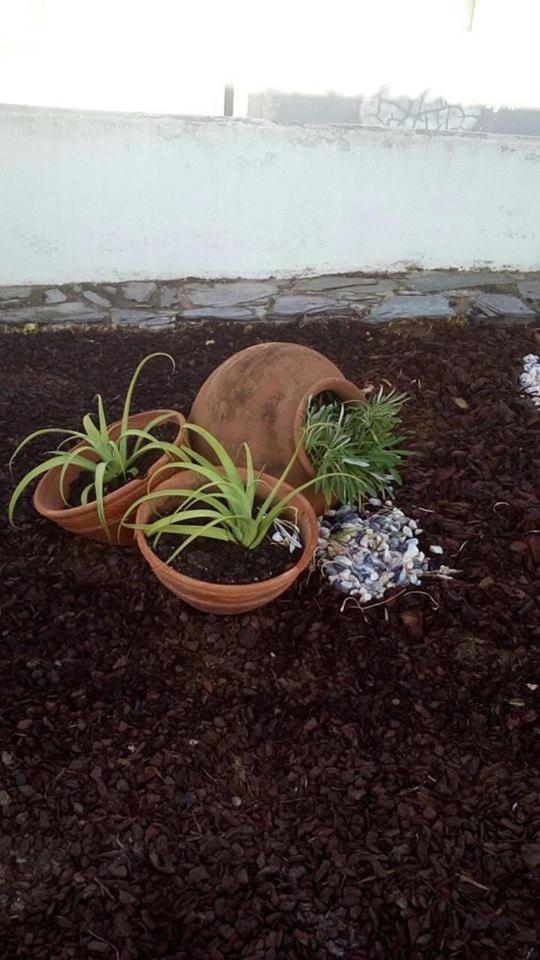 Mourão Casa Esquivel 빌라 외부 사진